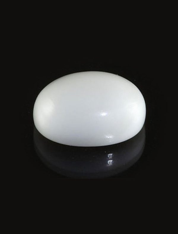 White Coral (Moonga)- सफेद मूँगा
